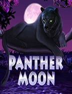 วิธี แทง บอล fun88 ที่ง่ายและสนุกสุดๆ